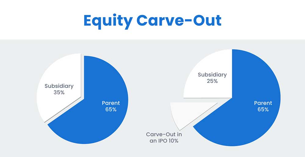 equity carve out preview